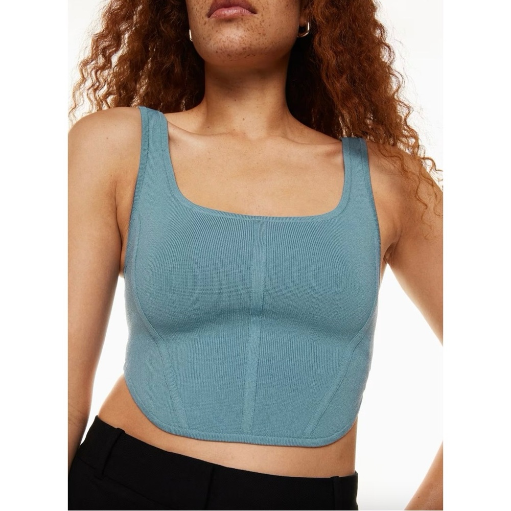 Aritzia Babaton Sculpt Knit Bustier Tank in Light Burch Feminine, XXL